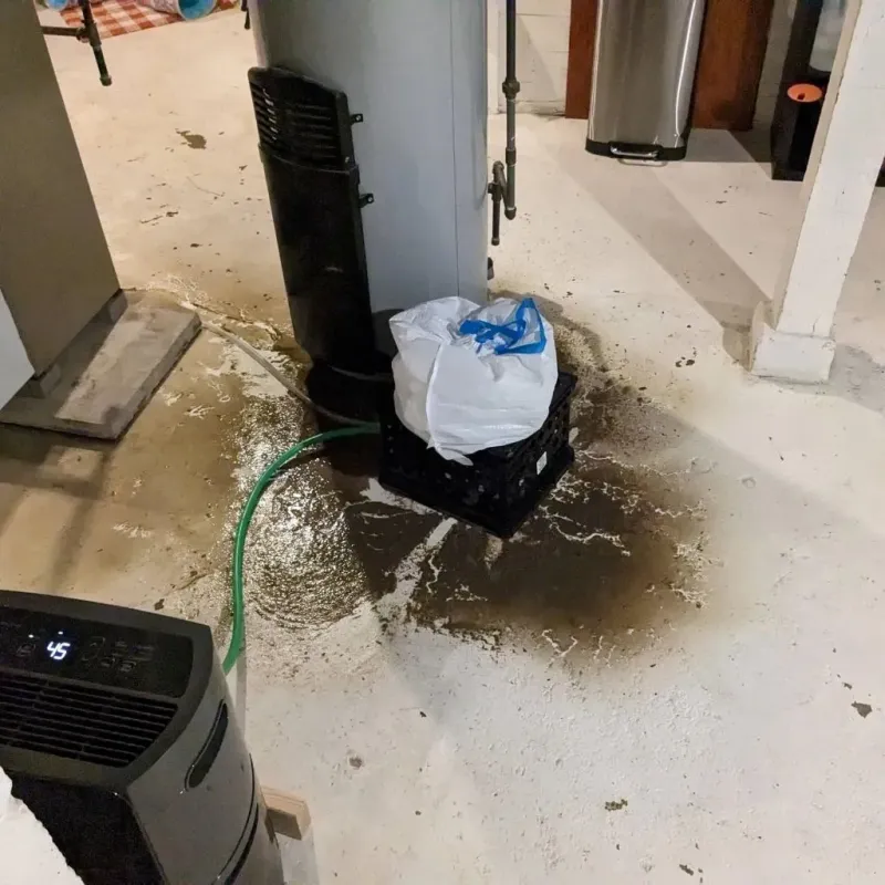 Sewage Backup Cleanup Service in Lambertville, NJ
